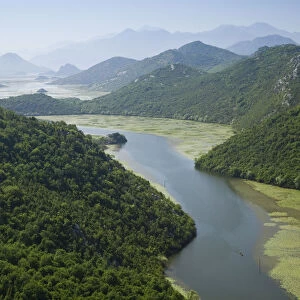 Montenegro, Rijeka Crnojevica, Crnojevica River Delta near Lake Skadar