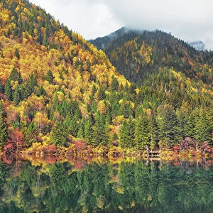 Mountain lake and forest in autumn - China, Sichuan, Jiuzhaigou, Arrow Bamboo Lake