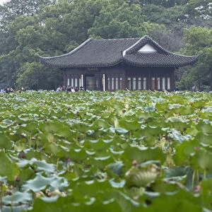 Pavilion in Quyuan Garden on West Lake (UNESCO World Heritage Site), Hangzhou, Zhejiang