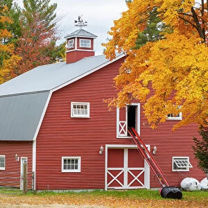 Red barn in fall, Maine, New England, USA