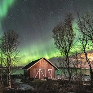 Red cabin and trees under the northern lights. Sandstrand, Troms county, Northern Norway