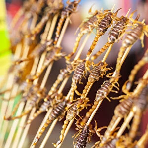 Scorpions on sticks, snack, Beijing, China