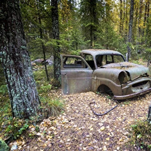 Southern Sweden, Northern Europe. Abandoned cars at Kyrko Mosse junkyard