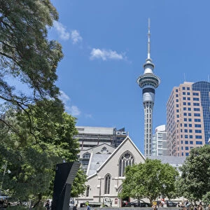 St Patricks Cathedral, Sky Tower and surrounding buildings