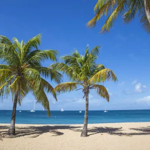 St Vincent and The Grenadines, Mayreau, Saline Bay