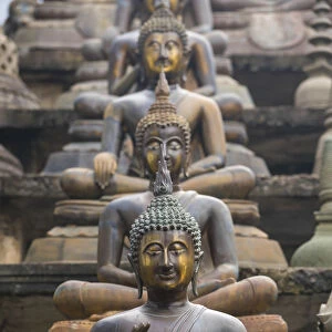 Statues of sitting Buddhas a Gangaramaya temple in Colombo, Sri Lanka