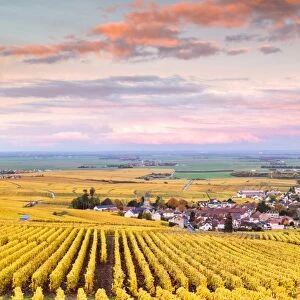 Sunset over the vineyards of Oger, Champagne Ardenne, France