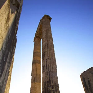 Temple of Apollo, Didyma, Turkey