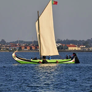 A traditional boat (moliceiro) in the Aveiro river. Portugal