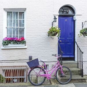 UK, England, Cambridge, Portugal Place, Pink Bicycle