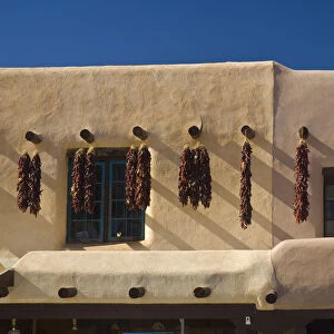 USA, New Mexico, Taos, Drying chillis
