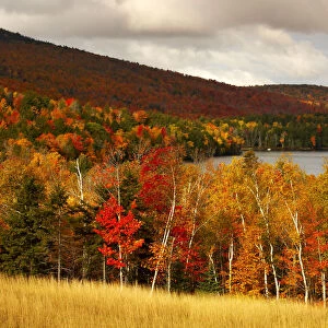 View above Branch Lake in Autumn, Maine, USA