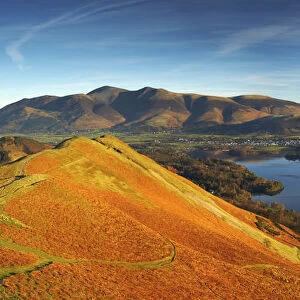 View over Derwent Water from Cat Bells, Lake District National Park, Cumbria, England