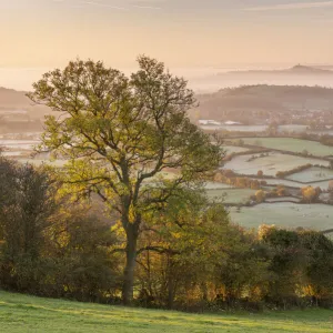 View from the Mendips over frost covered Somerset Levels towards Glastonbury Tor