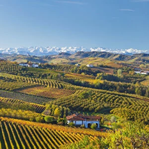 Heritage Sites Collection: Vineyard Landscape of Piedmont: Langhe-Roero and Monferrato