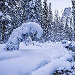 Winter Wonderland along Emerald River, Yoho National Park, British Columbia, Canada