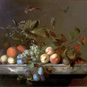 Fruit Piece with Dragonfly