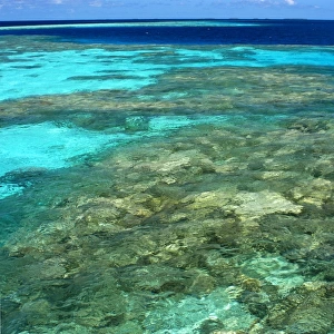 Coral reef, Namu atoll, Marshall Islands (N. Pacific)