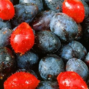 Damsons and Rose hips