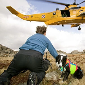 mountain rescue team members and search dog handler with dog are dropped off by an RAF sea king helicopter to start a mountain rescue search in the Lake District