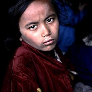 Nepal Girl. Portrait. Nepal