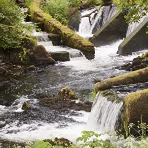 A weir with a fish ladder on the River Kent near Burneside, Kendal, Cumbria, UK