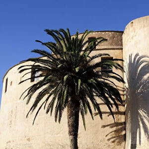 Citadel walls with palm & shadow Old Town