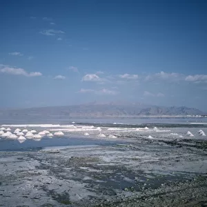 IRAN, Fars Shiraz, East of Shiraz View over the salt lake