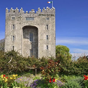 Ireland, County Clare, Bunratty Castle