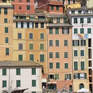 Italy, Liguria, Camogli, colourful houses in the harbour at Camogli