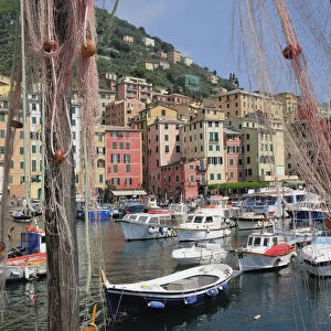 Italy, Liguria, Camogli, harbour with fishing boats & nets