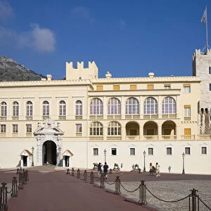 Monaco Collection: Politics