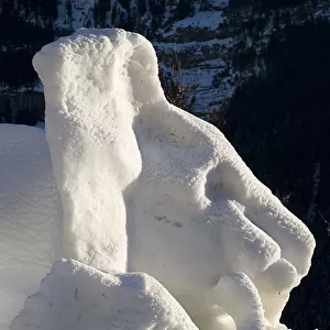SWITZERLAND, Bernese Oberland, Grindelwald World Snow Festival Ice Sculpture depicting
