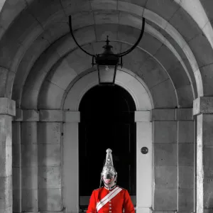 UK, London, Horse Guards Parade, Guardsman