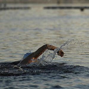 A goose flies past a swimmer in the Serpentine in Hyde Park, in London