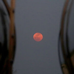 A full moon Super Blue Blood Moon rises in Nicosia