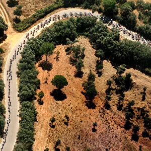 A pack of riders cycle during the third stage of the Tour of Spain cycling race between Cordoba