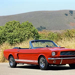 Shelby GT350 Mustang Convertible Carroll Ford