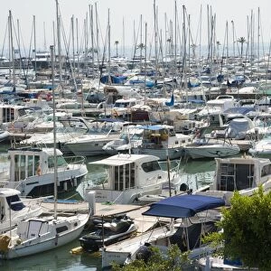 Boats moored at floating docks in harbour, Port d Alcudia, Alcudia, Majorca, Balearic Islands, Spain, September