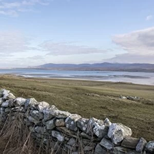 Looking over stone wall towards Loch Gruinart, wintering grounds of the Barnacle and white fronted geese