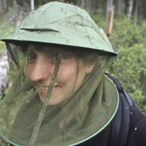 Mosquito (Culicidae sp. ) swarm, on mosquito hat worn by woman in forest, Finnish Lapland, Finland, july