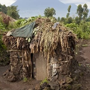 Mud hut in Pygmy village, with volcano in background, Virunga Mountains, Uganda