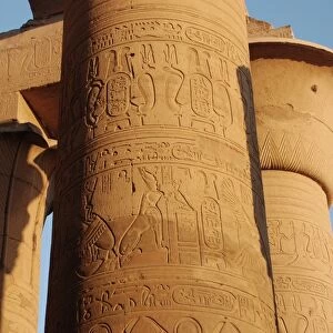 Reliefs on column, Outer Hypostyle Hall, Temple of Kom Ombo, Kom Ombo, Egypt, january