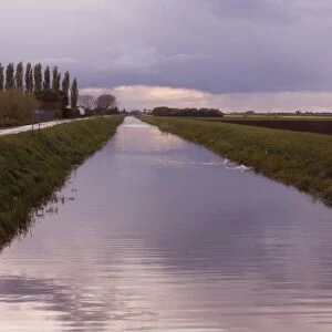 View of fenland drain at sunset, Cock Bank, The Turves, Whittlesey, Cambridgeshire, England, May