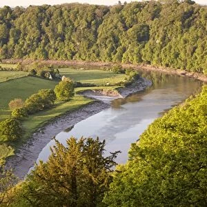 View of river with riverbank erosion at dawn, Lower Wyndcliff, Chepstow, River Wye, Lower Wye Valley, Monmouthshire