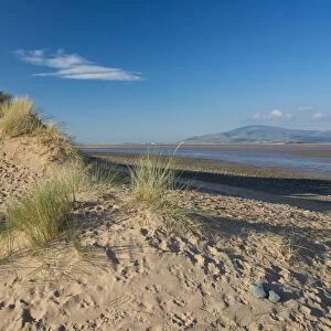 View of sand dunes and estuary, Duddon Sands, Duddon Estuary, Sandscale Haws N. N. R. Cumbria, England, November