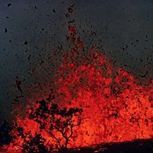 Volcanic eruption, tree silhouetted by molten lava erupting, Mauna Ulu, Big Island, Hawaii (1969 - 1974)