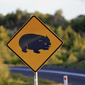 Wombat crossing road sign, Wilsons Promontory N. P. Victoria, Australia, November