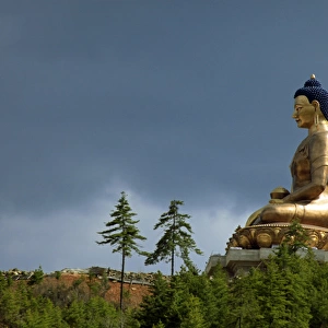 Asia, Bhutan. Thimpu. The Buddha Dordenma statue, bronze and gilded in gold, is the