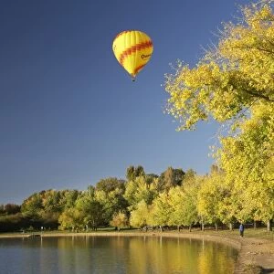 Australia, ACT, Canberra, Hot-Air Balloon and Autumn Colour, Bowen Park, Lake Burley